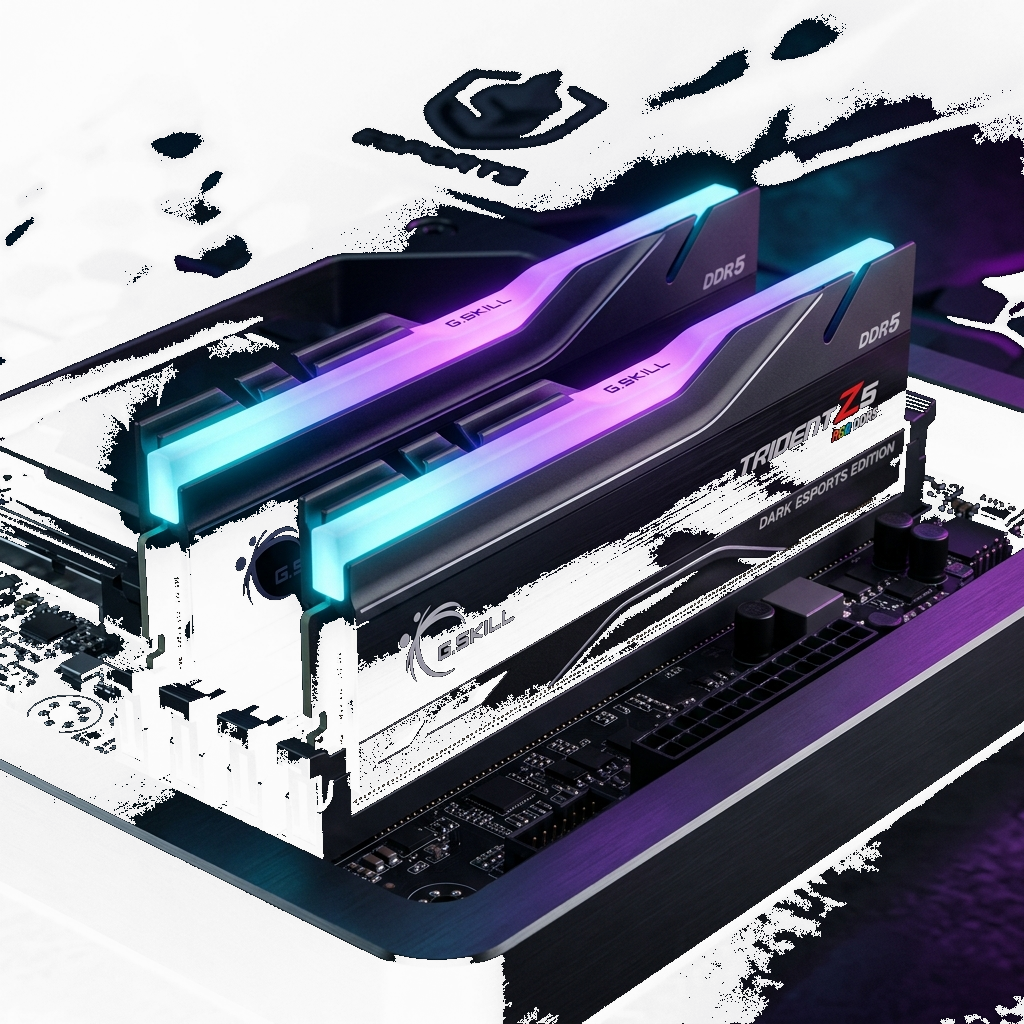 Memoria RAM DDR5 Gaming